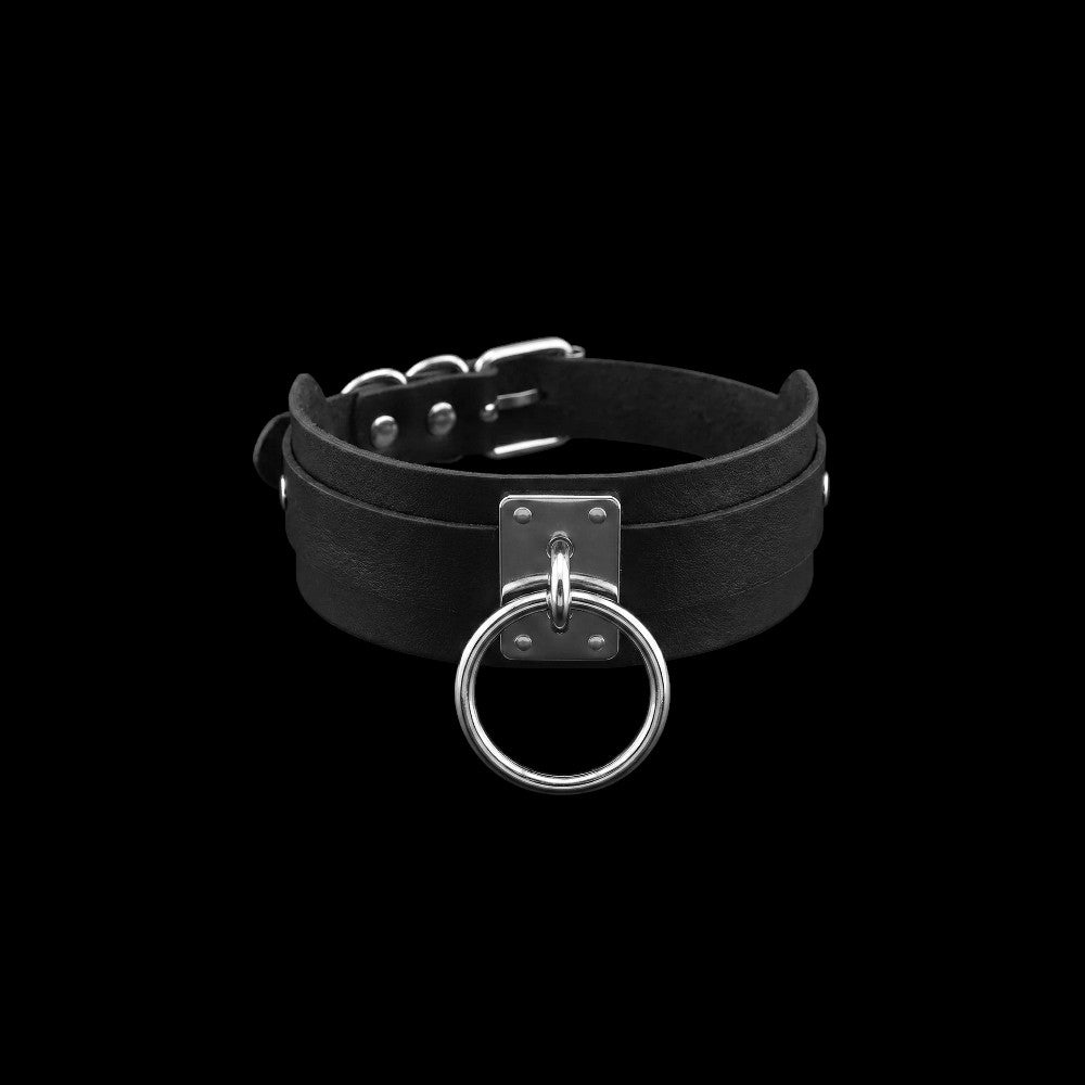 On a Leash Collar