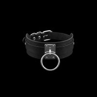 On a Leash Collar