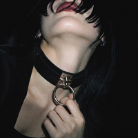 On a Leash Collar